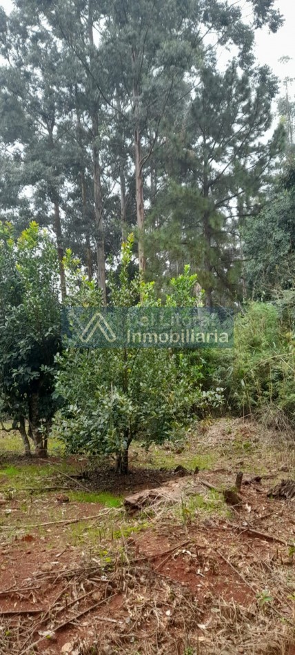 PROPIEDAD
